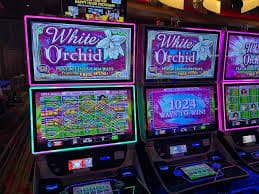 Dashboard akun pintu6 menampilkan riwayat taruhan French Roulette, saldo, dan opsi pembayaran